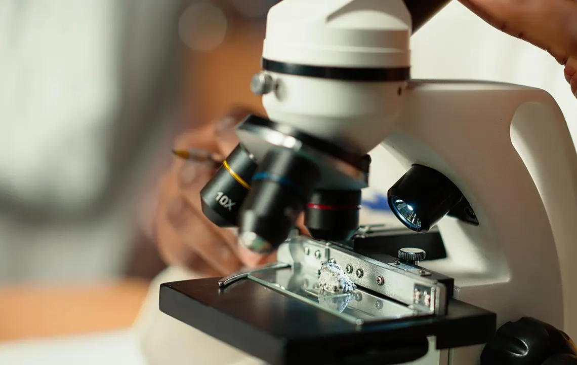 You are currently viewing Investigator‑Initiated Research Grants
